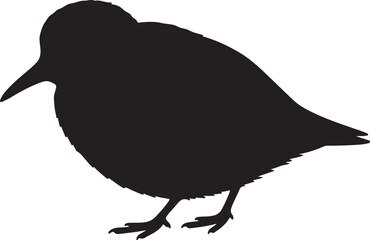 Sanderling Silhouette Vector