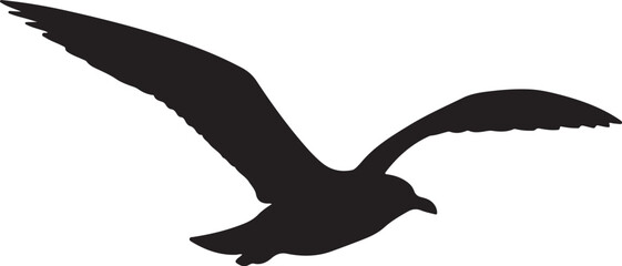 Seagull Silhouette Vector