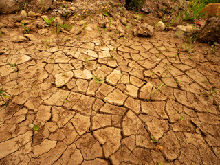 A dry, cracked, and rocky field with a few plants growing in the cracks. Concept of desolation and harshness, as the dry and cracked ground suggests a lack of water or rain and life