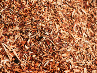 A pile of wood chips is scattered on the ground. Concept of decay and decomposition, as the wood chips are no longer in their original form