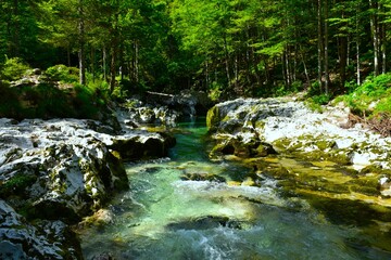 View of Mostnica creek flowing through limestone rock formations at Korita Mostnice in Gorenjska, Slovenia