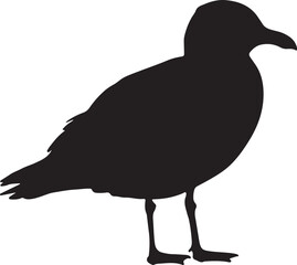 Slaty-backed Gull Silhouette Vector