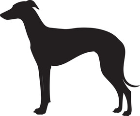 Sloughi Silhouette Vector