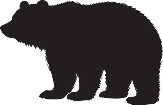 Sloth Bear Silhouette Vector