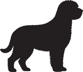Spanish Water Dog Silhouette Vector