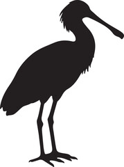 Spoonbill Silhouette Vector