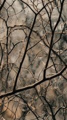 Intricate branches on frosted glass symbolize ecological fragility and sustainability concepts