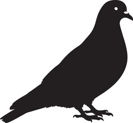 Stock Dove Silhouette