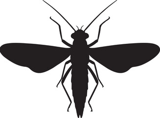 Stonefly Top View Silhouette