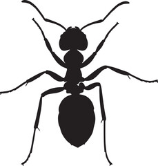 Sugar Ant Top View Silhouette