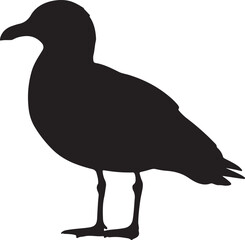 Surf Gull Silhouette