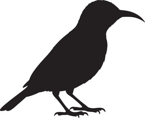 Sunbird Silhouette