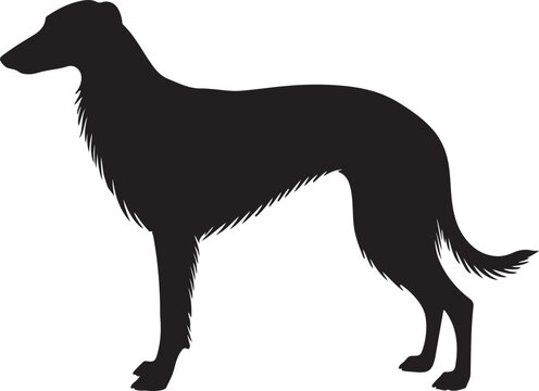 Taigan Silhouette