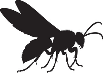 Tarantula Hawk Wasp Silhouette Vector