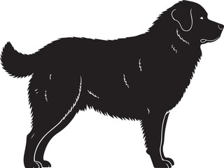 Tatra Shepherd Silhouette