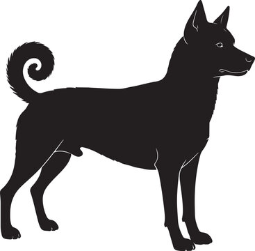 Telomian Silhouette