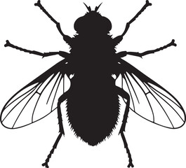 Tsetse Fly Silhouette