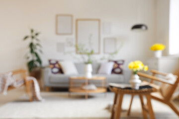 Blurred view of light living room with grey sofa, daffodils and blossoming branches in vases