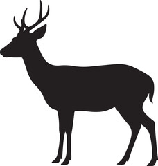 Vietnamese Sika Deer Silhouette