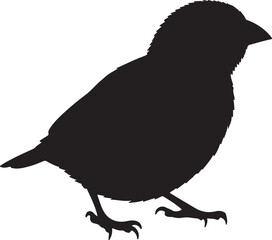 Obraz premium Weaver Silhouette