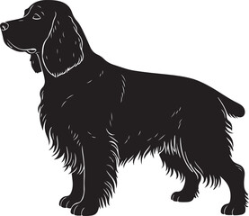 Welsh Springer Spaniel Silhouette