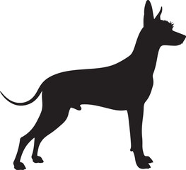 Xoloitzcuintli Silhouette Side View Single Icon