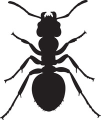 Zombie Ant Silhouette Top View Single Icon