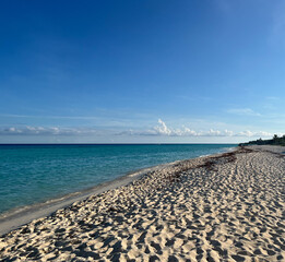Serene Tropical Paradise Beach with Calm Waters and Clear Sky