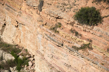 Rocky cliff face with sparse vegetation and natural striations