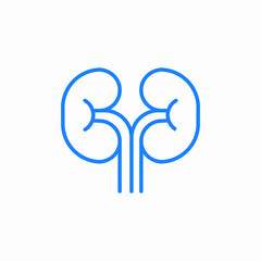 simple kidneys icon sign vector