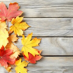 Obraz premium Autumn Maple Leaves on Rustic Wooden Background