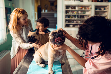 Boy smiling with French Bulldog at veterinary clinic during checkup with vet and mom nearby