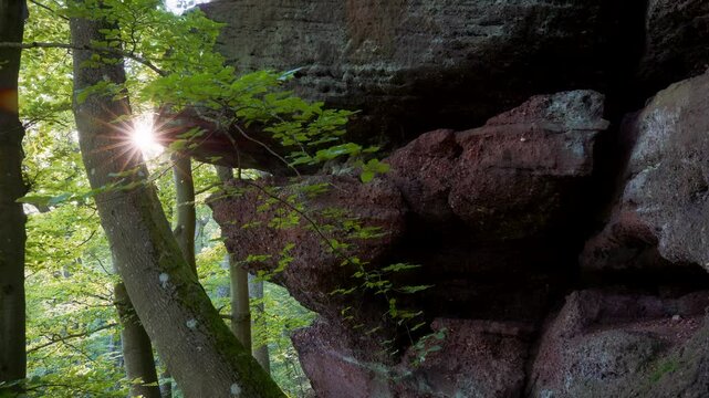 Die ersten Sonnenstrahlen brechen durch die B&auml;ume und treffen auf einen beeindruckenden roten Sandsteinfelsen, der steil und schroff emporragt. 