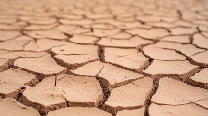 Dry Cracked Earth Surface in a Parched Landscape with Texture Details