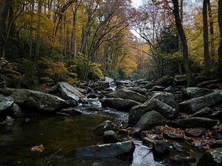 river in the forest in the smoky mountains at dusk 