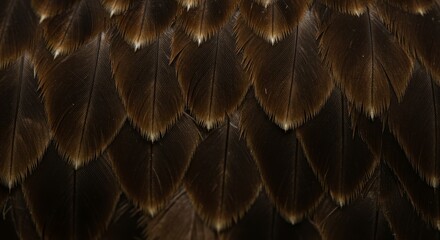 Detailed Photo of Brown Feathers Showing Delicate Texture with Natural Background