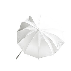 Lightweight Beach Umbrella with a Compact Design Isolated on Transparent Background