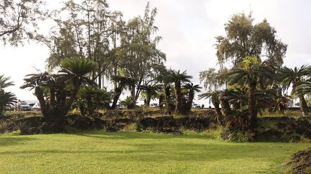 Liliuokalani park hilo Hawaii