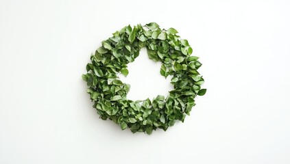 Circular wreath of small, vibrant green leaves on a white background