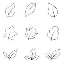  leaf outline icon set featuring minimalist and nature-inspired designs. Perfect for eco-friendly branding, sustainability projects, organic products, and environmental themes
