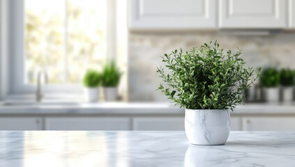 Light-filled kitchen, small plant on marble countertop