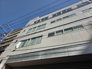 Japanese Building