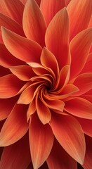 Close Up Of A Floral Pattern Showing Orange Petals In Detailed View