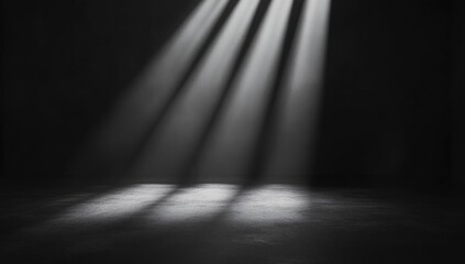 Spotlight on dark stage