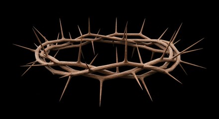 Detailed Photo of a Crown of Thorns Isolated on a Black Background