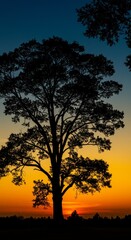 Fototapeta premium Photo A Silhouette Of A Tree Against The Sunset Sky With Orange Blue Colors