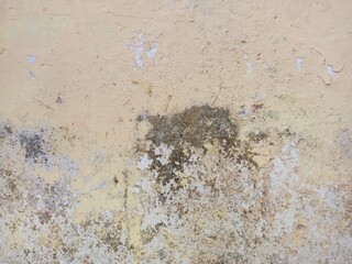 Decayed Wall Surface with Patina and Peeling Paint