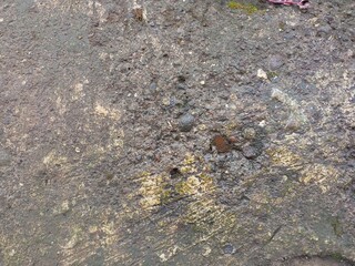Detailed Concrete Surface with Embedded Stones and Dirt