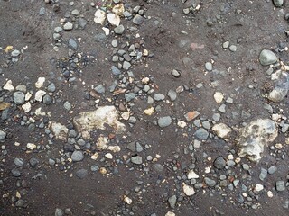 Dark Earthy Ground Texture with Scattered Pebbles