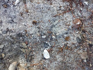 Close-up of Ash and Debris on the Ground Texture